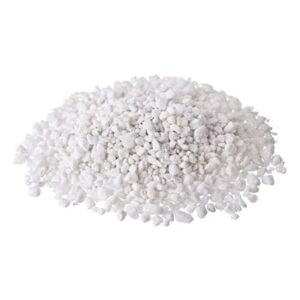 Perlite 10L Bag