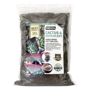 UK Grow Cactus & Succulent Potting Mix with Seramis