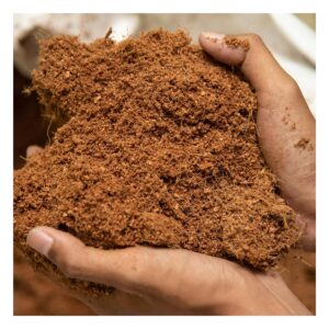 UK Grow Coconut Coir Fibre
