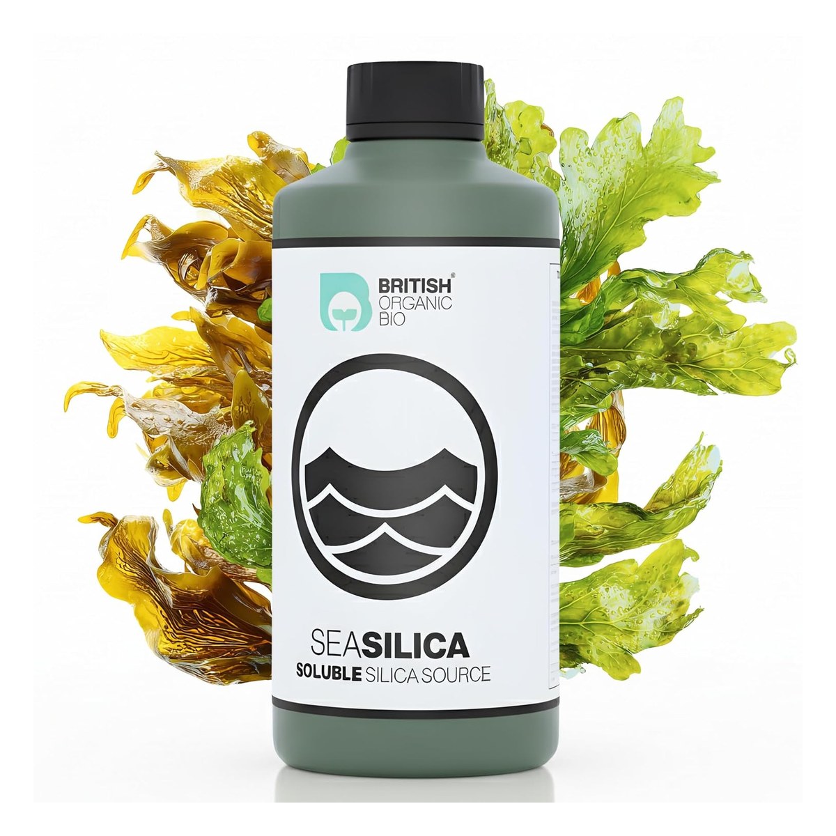 Sea-Silica Seaweed Silica Concentrate