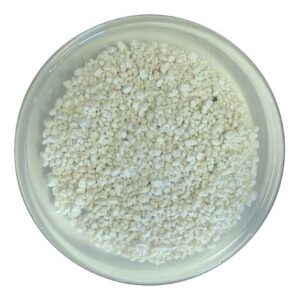 PLANT!T Perlite 10L Bag