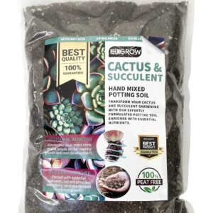 UK GROW Premium 5L Cactus and Succulent focus potting mix seramis added perfect for optimum cacti and succulent growth (5L)
