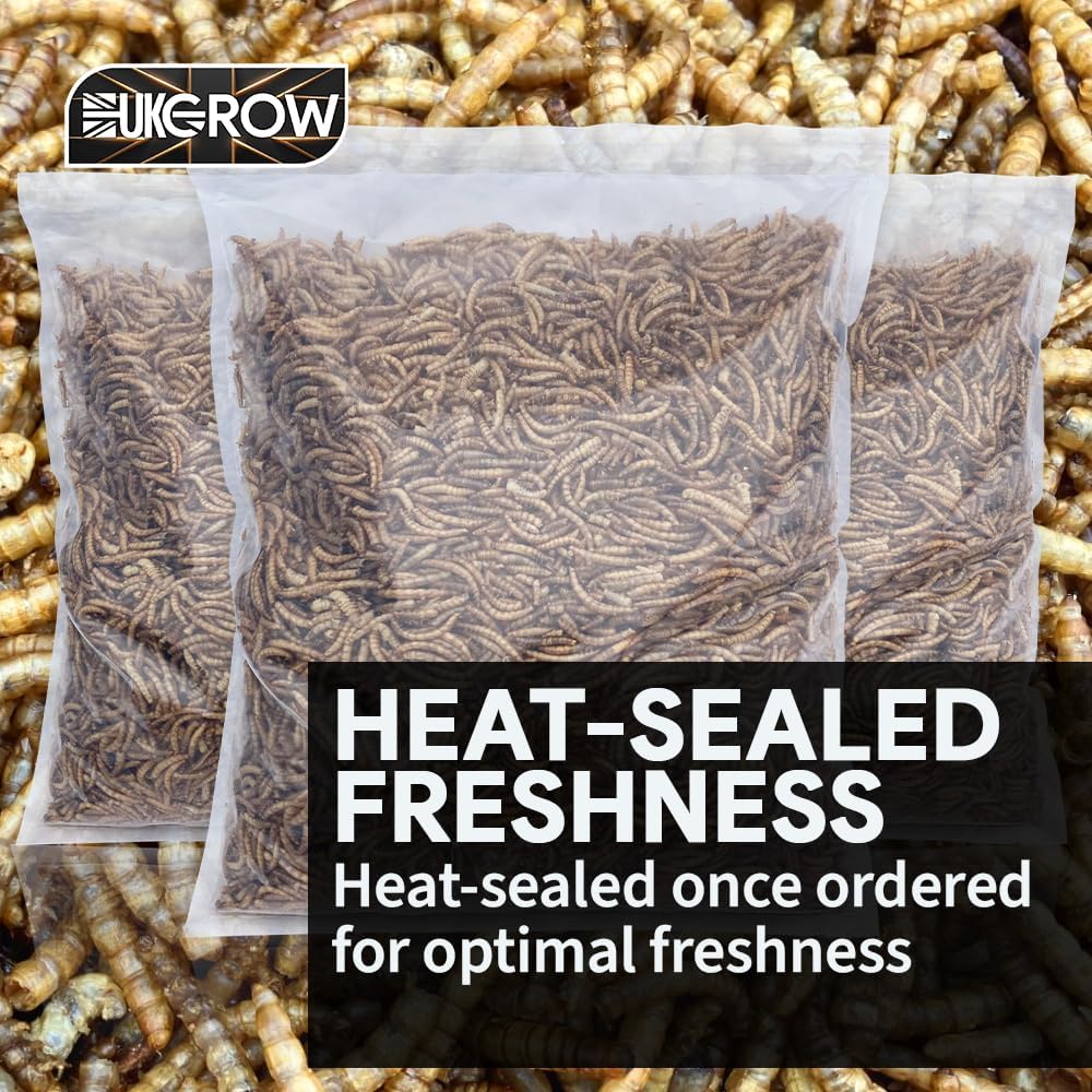 UK Grow Dried Mealworms 5L Bag - Image 2