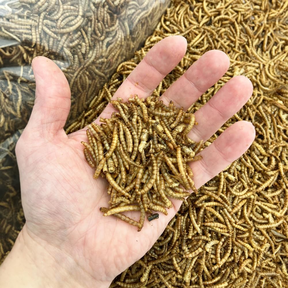 UK Grow Dried Mealworms 5L Bag - Image 3