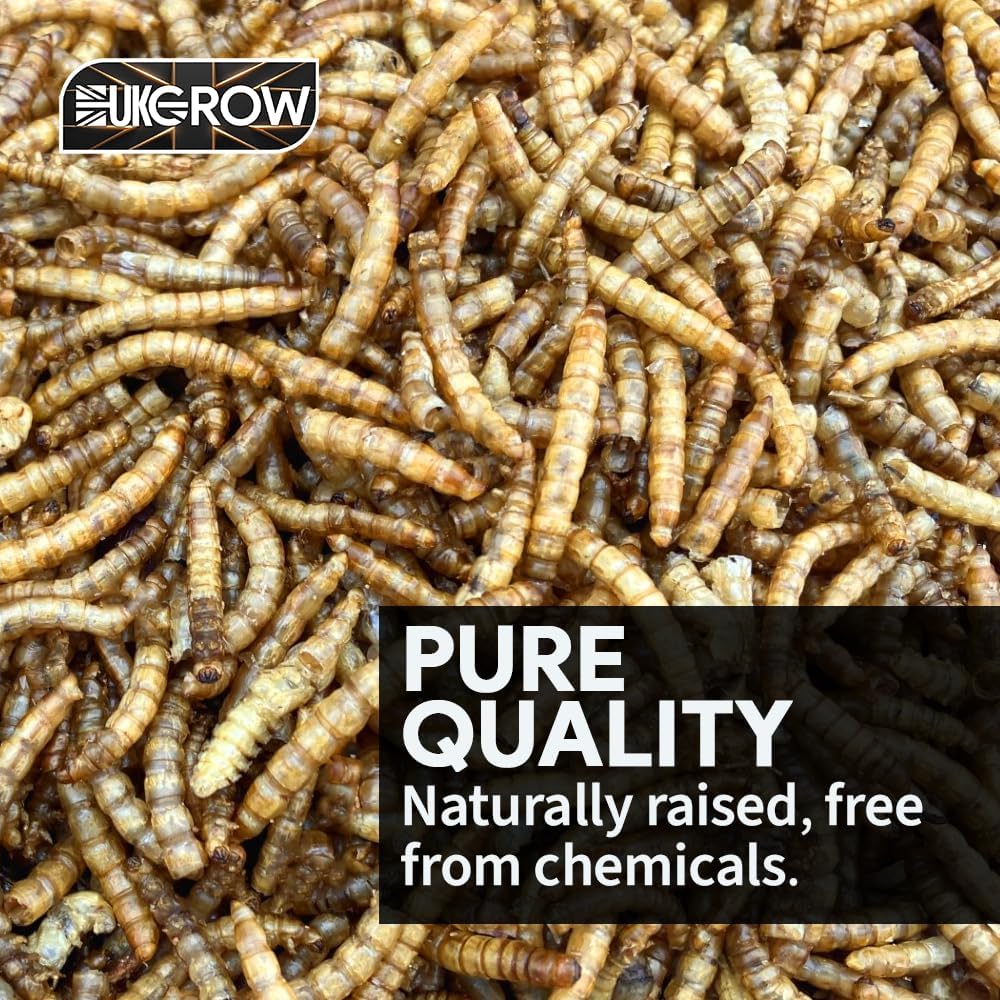 UK Grow Dried Mealworms 5L Bag - Image 7