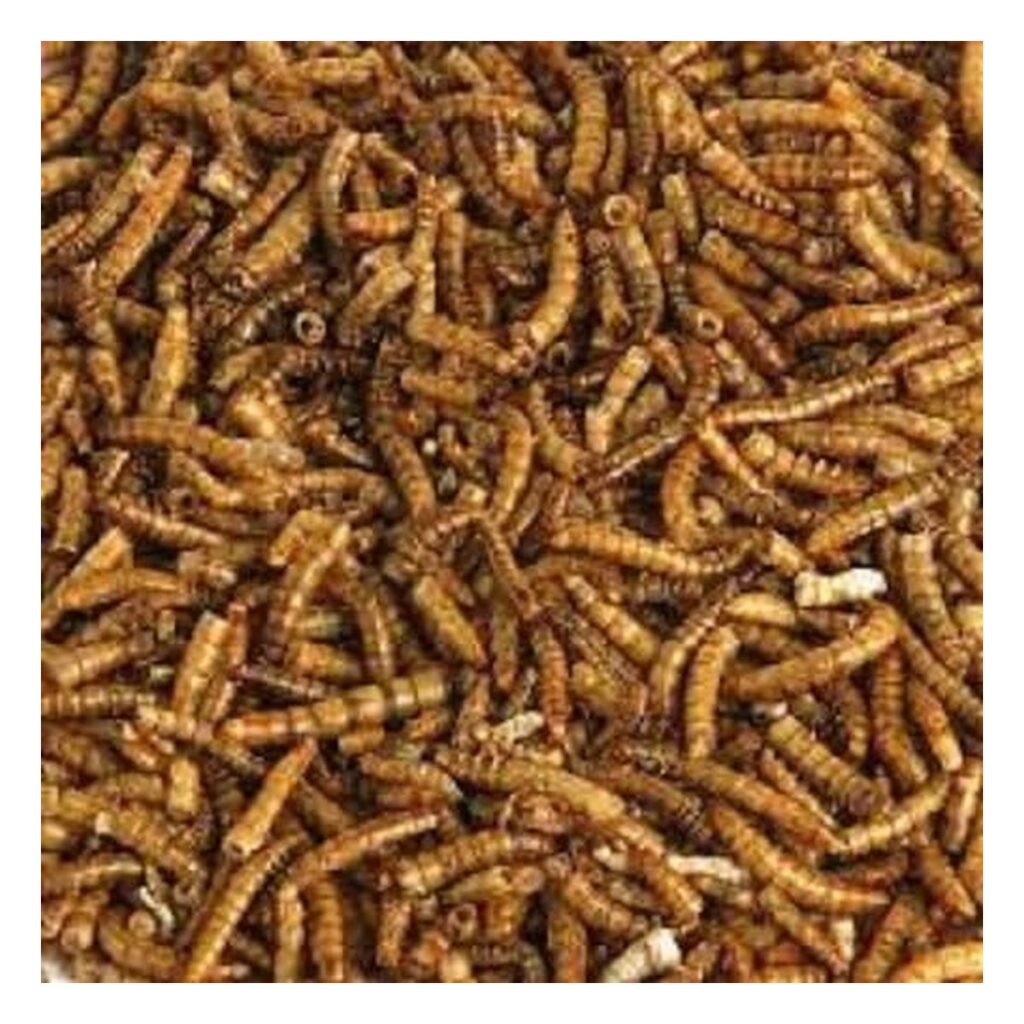 Dried Mealworms for Wild Birds 500g