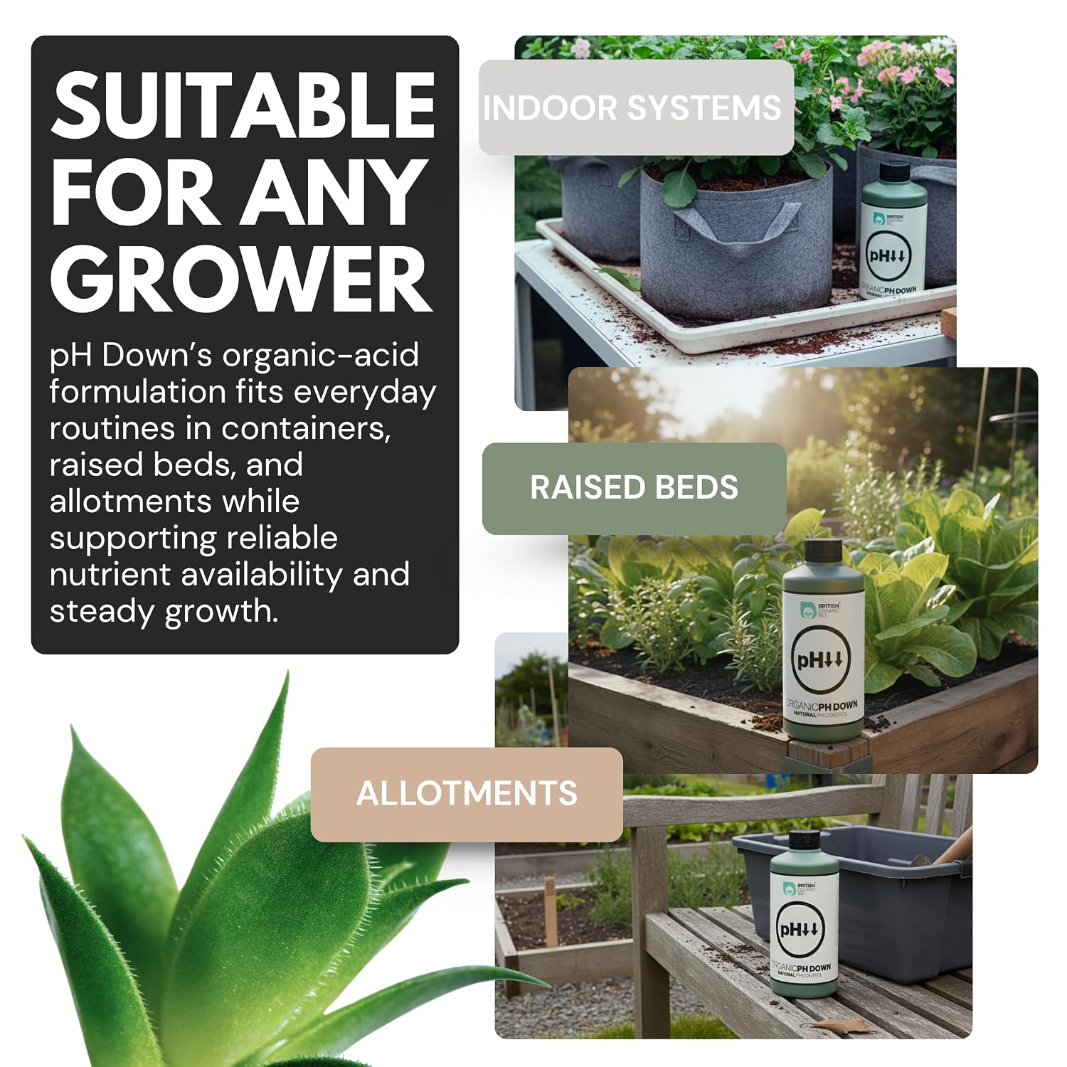 pH Down - acid based pH control for soil and coco | Phosphate-free formula | Concentrated liquid for gentle, predictable adjustment - Image 4