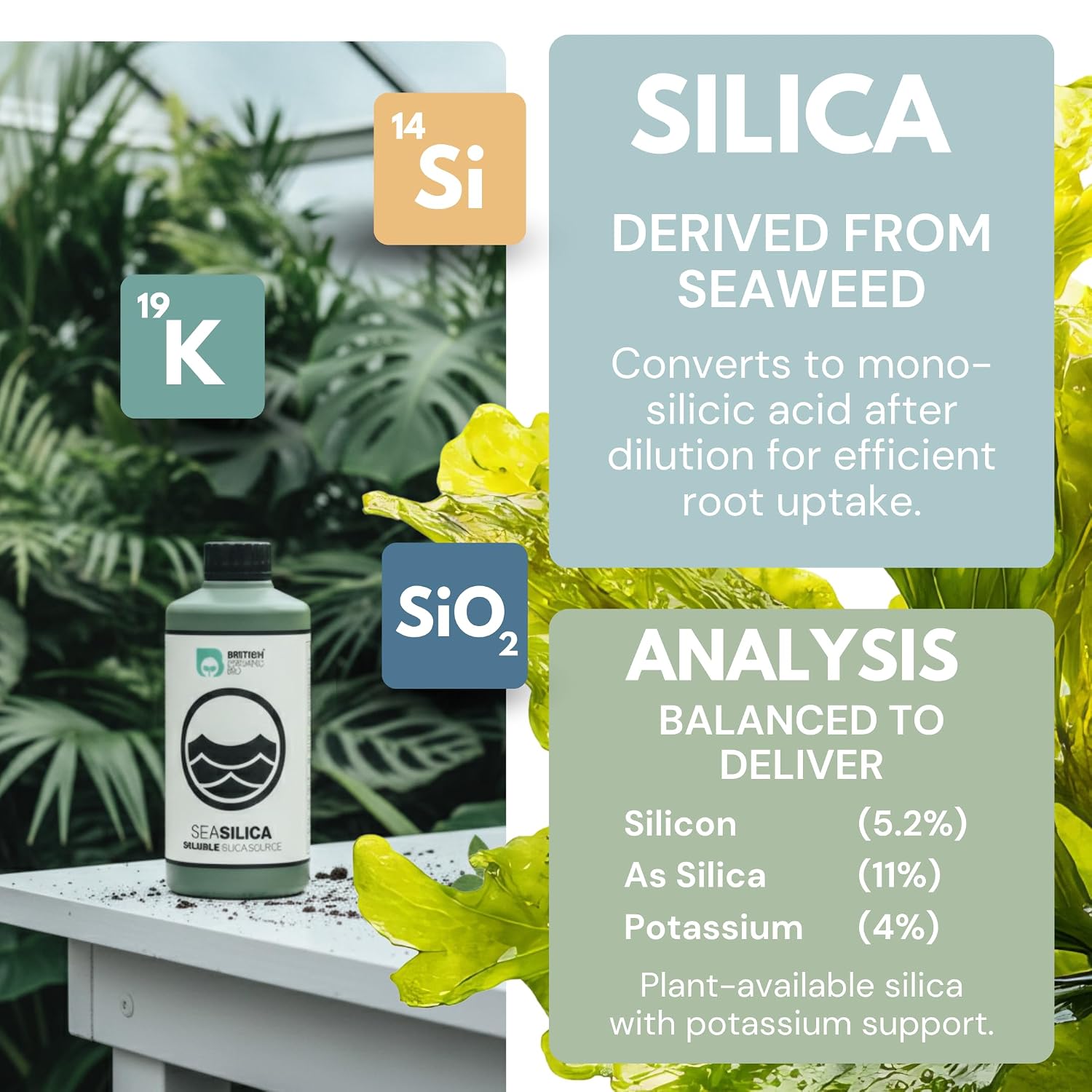 Sea-Silica Seaweed Silica Concentrate - Image 3