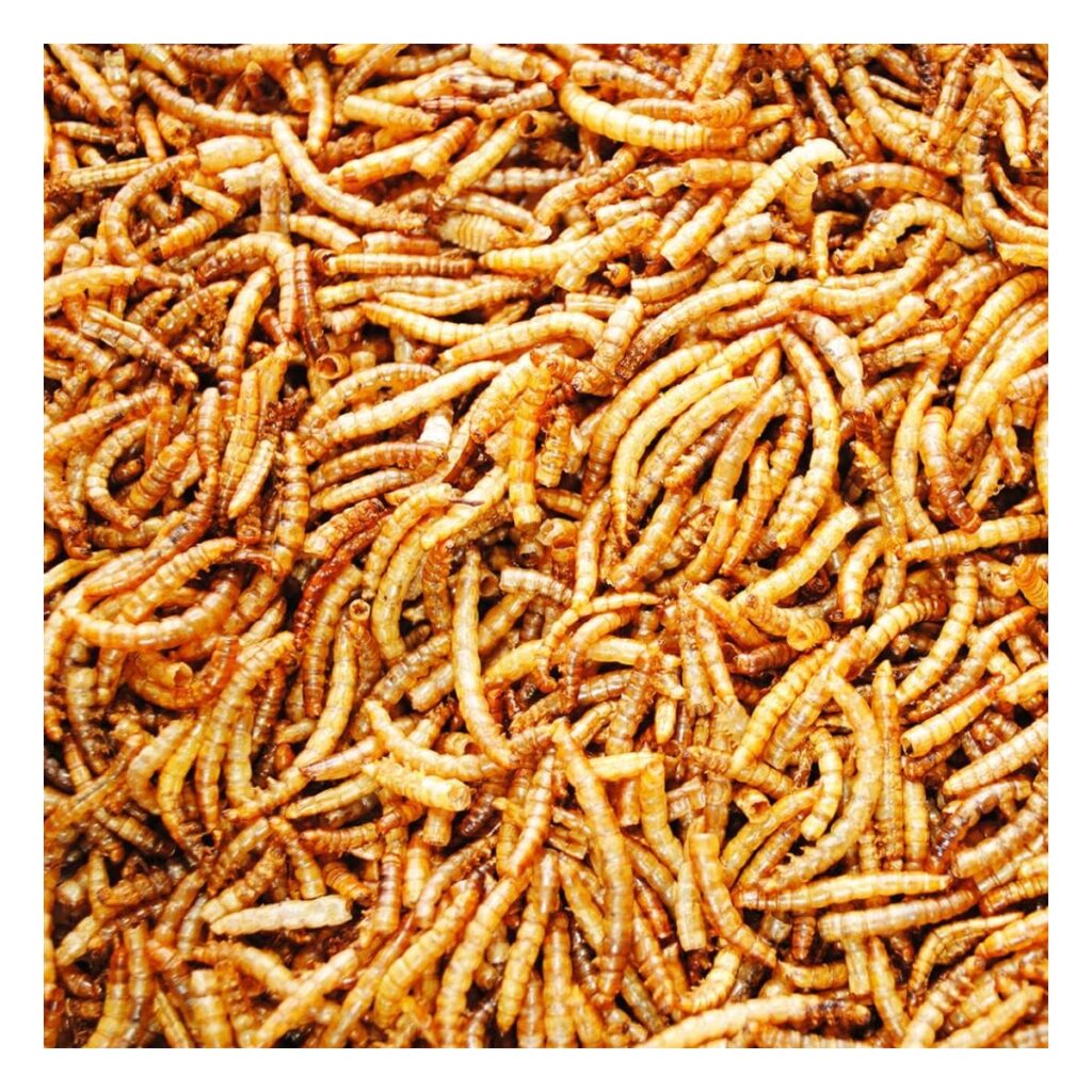 Dried Mealworms 3kg (20L)