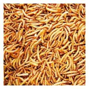 Dried Mealworms 3kg (20L)