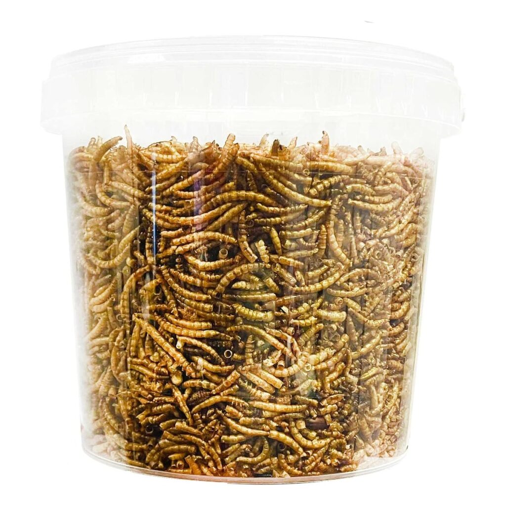 Dried Mealworms Bucket