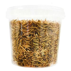 UK Grow dried mealworms in a clear reusable plastic bucket