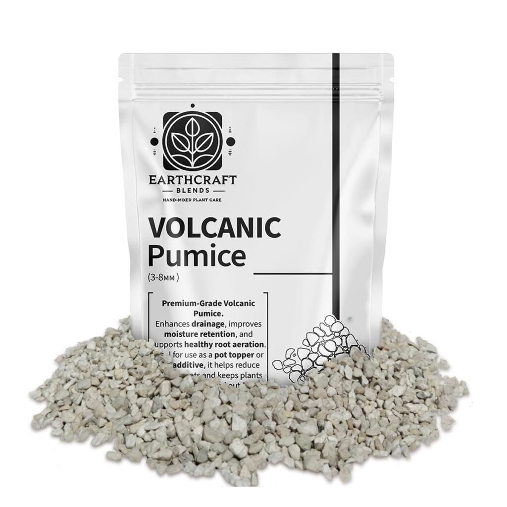 Volcanic Pumice for Plants, Pot Topper