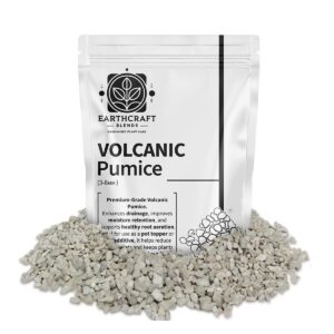 Volcanic Pumice for Plants, Pot Topper