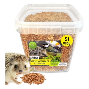 Ukko Dried Mealworms 5L Bucket