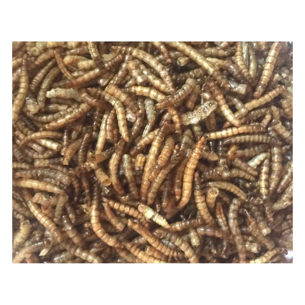 Dried Mealworms 1kg