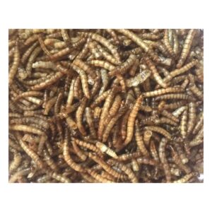 Dried Mealworms 1kg
