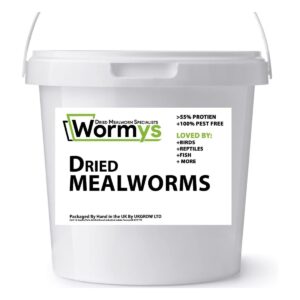UK Grow Dried Mealworms 10L Bucket